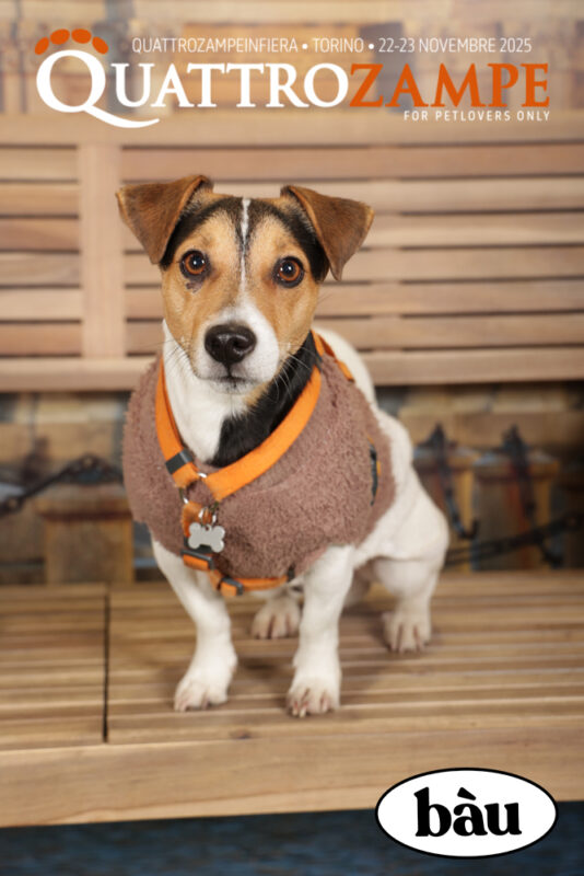 Concorso Fotografico - QuattroZampe in Fiera - Torino - Novembre 2025