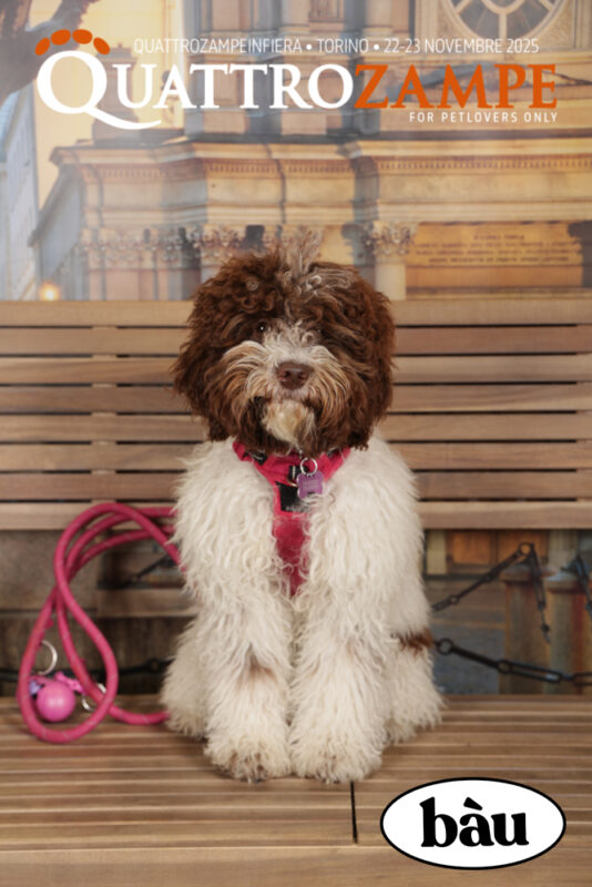 Concorso Fotografico - QuattroZampe in Fiera - Torino - Novembre 2025