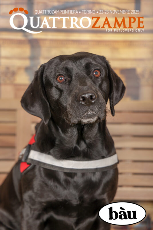 Concorso Fotografico - QuattroZampe in Fiera - Torino - Novembre 2025
