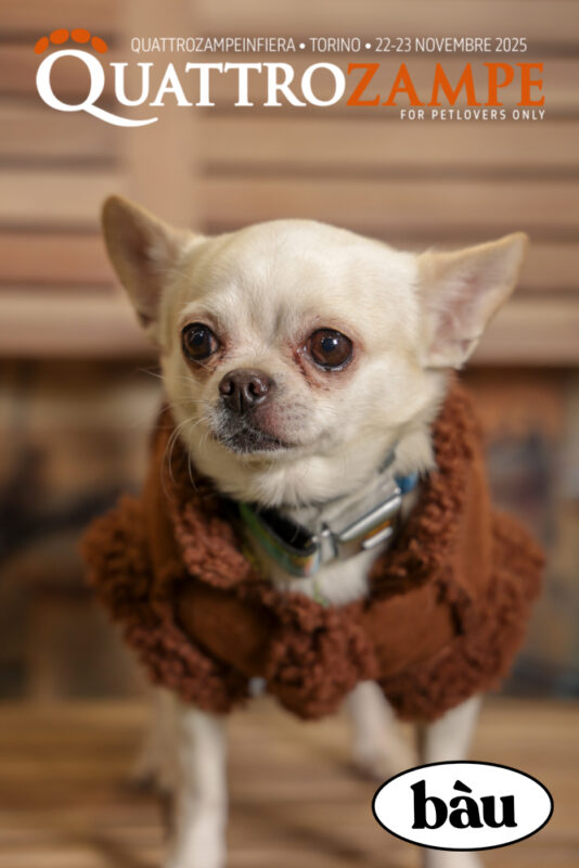 Concorso Fotografico - QuattroZampe in Fiera - Torino - Novembre 2025