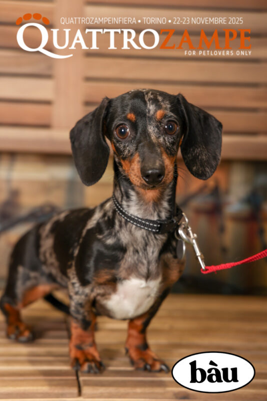 Concorso Fotografico - QuattroZampe in Fiera - Torino - Novembre 2025