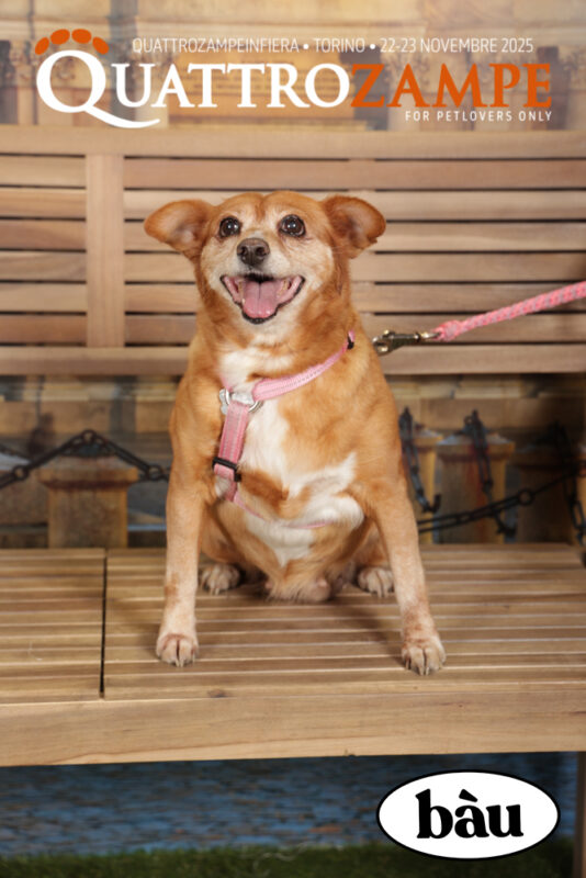 Concorso Fotografico - QuattroZampe in Fiera - Torino - Novembre 2025