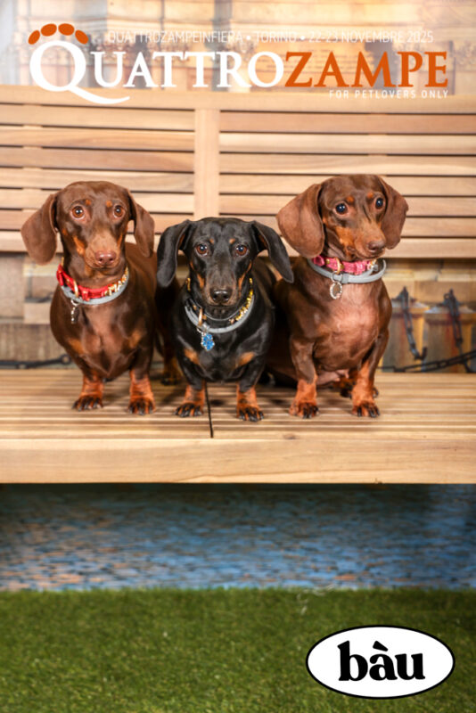 Concorso Fotografico - QuattroZampe in Fiera - Torino - Novembre 2025