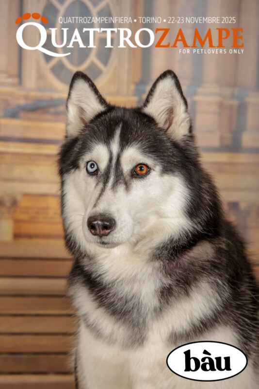 Concorso Fotografico - QuattroZampe in Fiera - Torino - Novembre 2025
