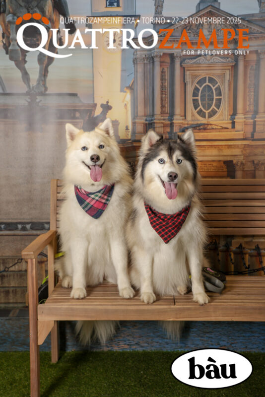 Concorso Fotografico - QuattroZampe in Fiera - Torino - Novembre 2025