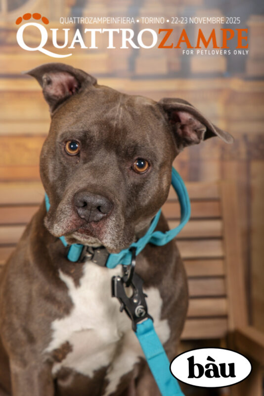 Concorso Fotografico - QuattroZampe in Fiera - Torino - Novembre 2025