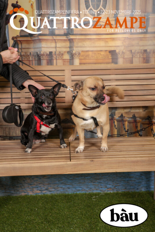 Concorso Fotografico - QuattroZampe in Fiera - Torino - Novembre 2025