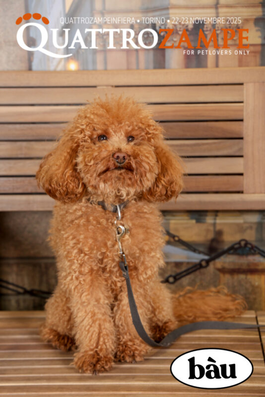 Concorso Fotografico - QuattroZampe in Fiera - Torino - Novembre 2025