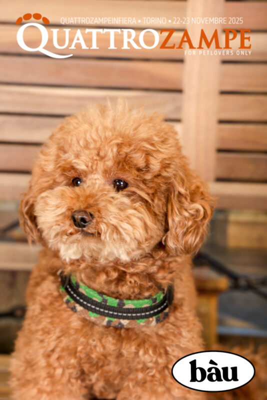 Concorso Fotografico - QuattroZampe in Fiera - Torino - Novembre 2025
