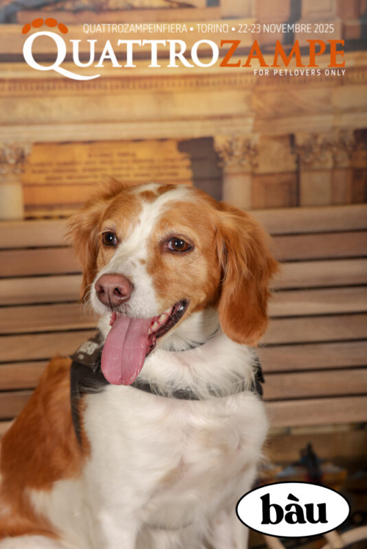 Concorso Fotografico - QuattroZampe in Fiera - Torino - Novembre 2025