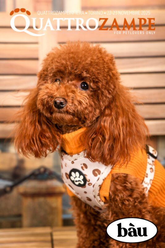 Concorso Fotografico - QuattroZampe in Fiera - Torino - Novembre 2025