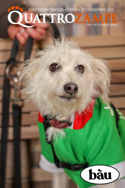 Concorso Fotografico - QuattroZampe in Fiera - Torino - Novembre 2025