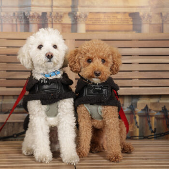 Concorso Fotografico - QuattroZampe in Fiera - Torino - Novembre 2025