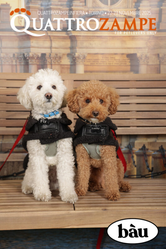 Concorso Fotografico - QuattroZampe in Fiera - Torino - Novembre 2025