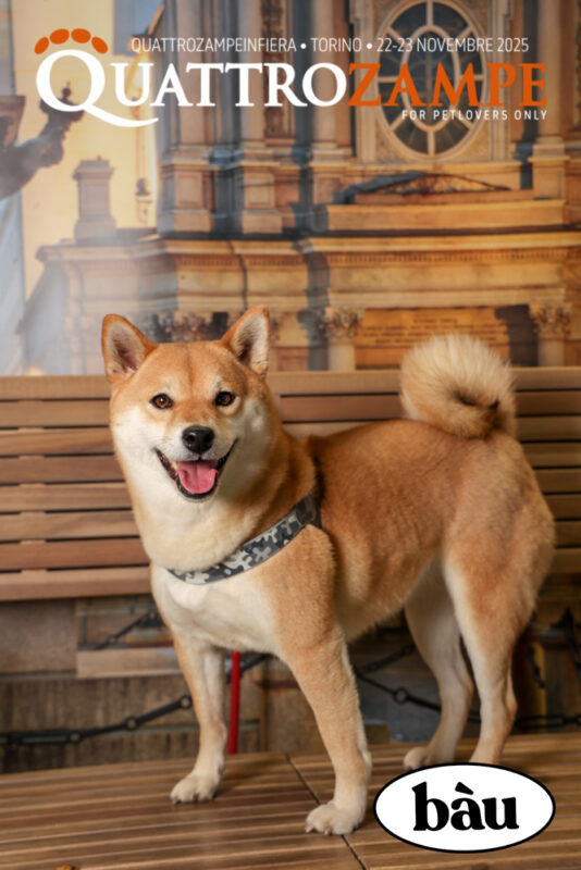 Concorso Fotografico - QuattroZampe in Fiera - Torino - Novembre 2025