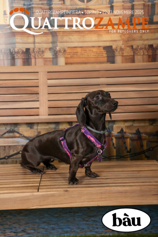 Concorso Fotografico - QuattroZampe in Fiera - Torino - Novembre 2025