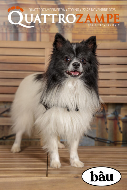 Concorso Fotografico - QuattroZampe in Fiera - Torino - Novembre 2025