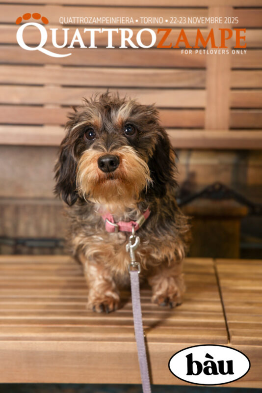 Concorso Fotografico - QuattroZampe in Fiera - Torino - Novembre 2025