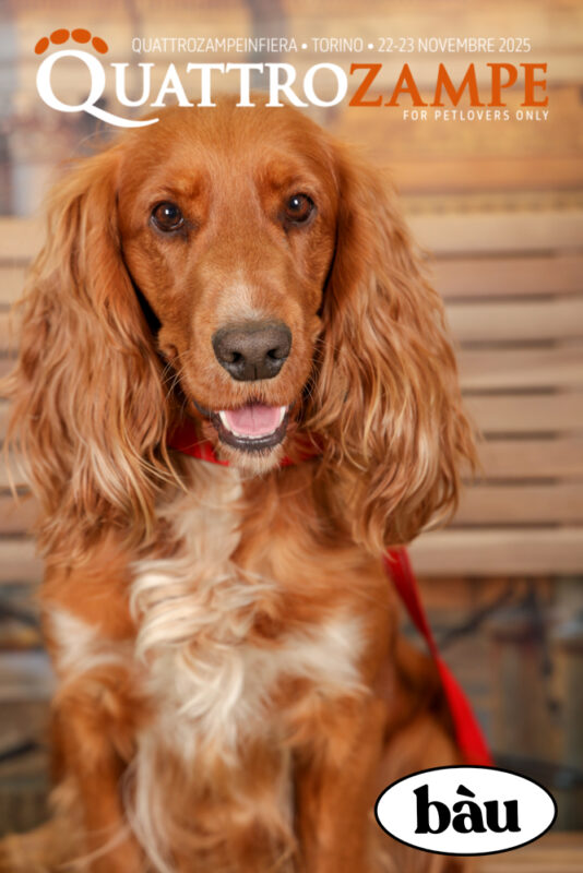 Concorso Fotografico - QuattroZampe in Fiera - Torino - Novembre 2025