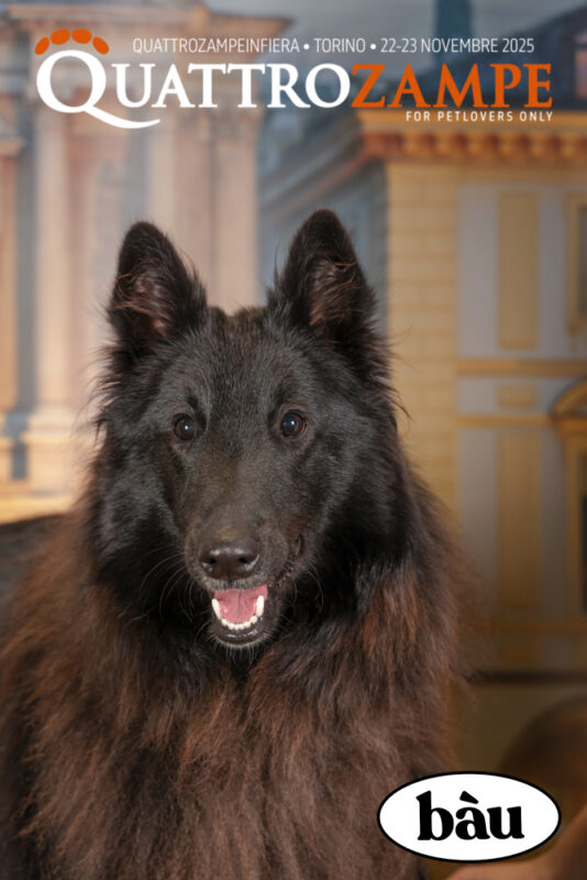 Concorso Fotografico - QuattroZampe in Fiera - Torino - Novembre 2025