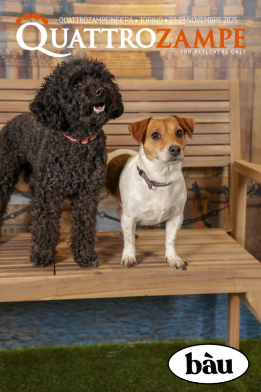 Concorso Fotografico - QuattroZampe in Fiera - Torino - Novembre 2025