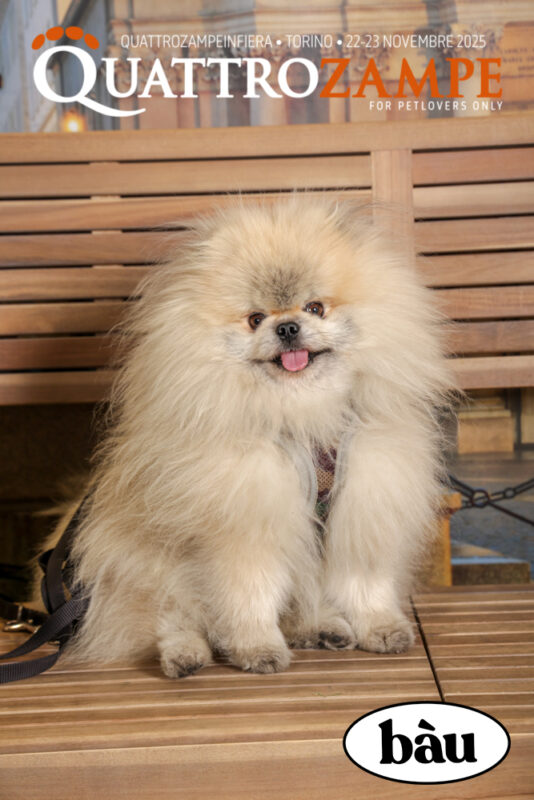 Concorso Fotografico - QuattroZampe in Fiera - Torino - Novembre 2025