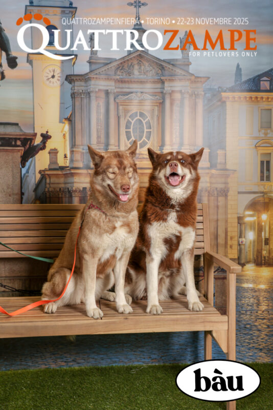 Concorso Fotografico - QuattroZampe in Fiera - Torino - Novembre 2025