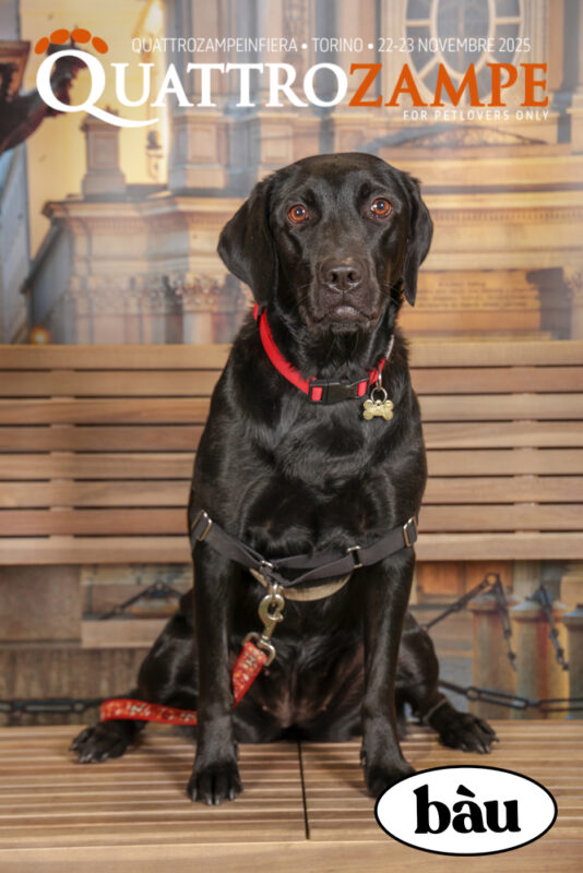 Concorso Fotografico - QuattroZampe in Fiera - Torino - Novembre 2025