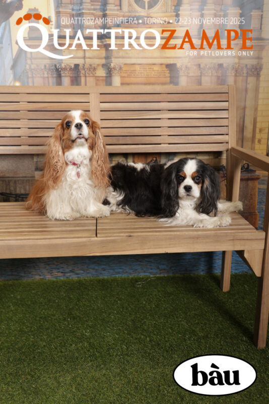 Concorso Fotografico - QuattroZampe in Fiera - Torino - Novembre 2025