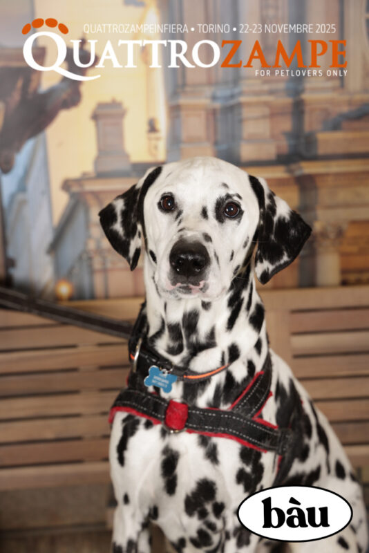 Concorso Fotografico - QuattroZampe in Fiera - Torino - Novembre 2025