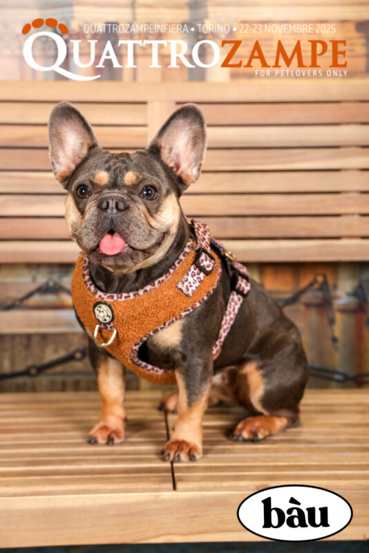 Concorso Fotografico - QuattroZampe in Fiera - Torino - Novembre 2025