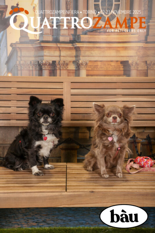 Concorso Fotografico - QuattroZampe in Fiera - Torino - Novembre 2025