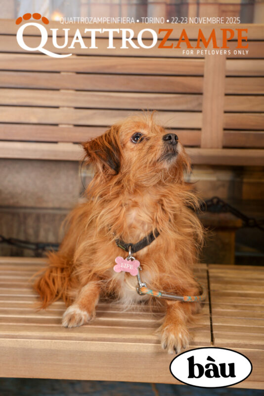 Concorso Fotografico - QuattroZampe in Fiera - Torino - Novembre 2025