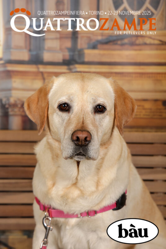 Concorso Fotografico - QuattroZampe in Fiera - Torino - Novembre 2025