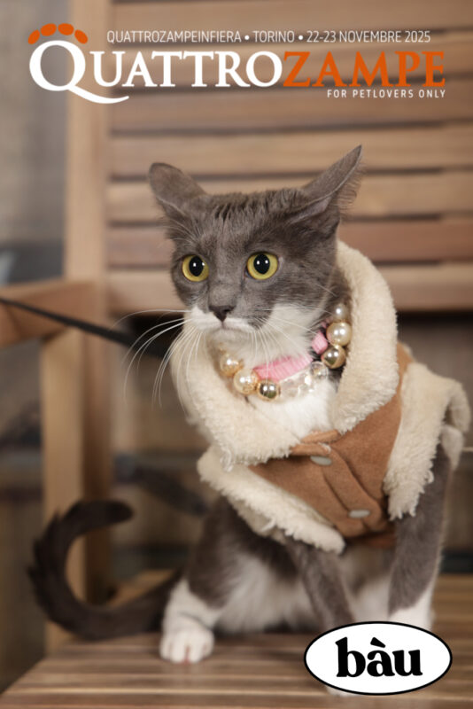 Concorso Fotografico - QuattroZampe in Fiera - Torino - Novembre 2025