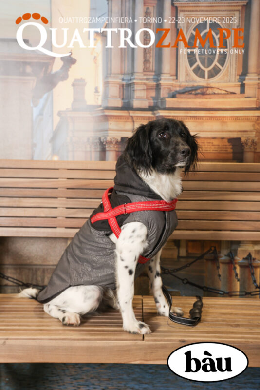 Concorso Fotografico - QuattroZampe in Fiera - Torino - Novembre 2025