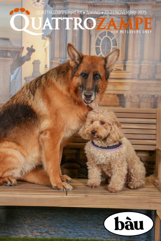 Concorso Fotografico - QuattroZampe in Fiera - Torino - Novembre 2025