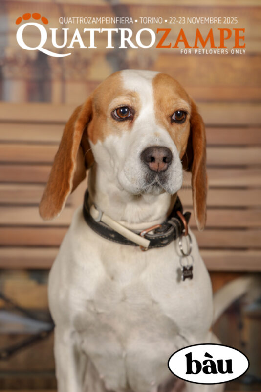 Concorso Fotografico - QuattroZampe in Fiera - Torino - Novembre 2025