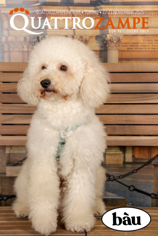 Concorso Fotografico - QuattroZampe in Fiera - Torino - Novembre 2025