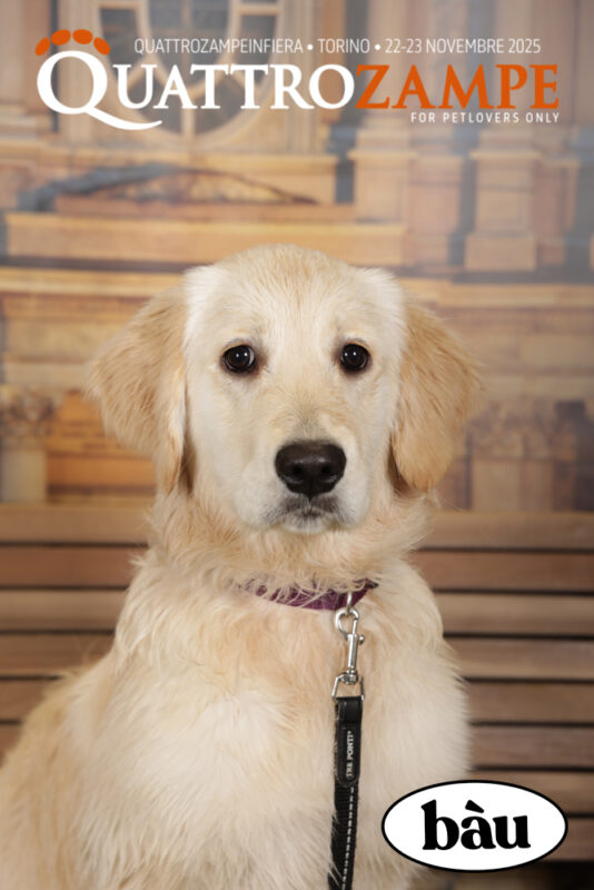 Concorso Fotografico - QuattroZampe in Fiera - Torino - Novembre 2025