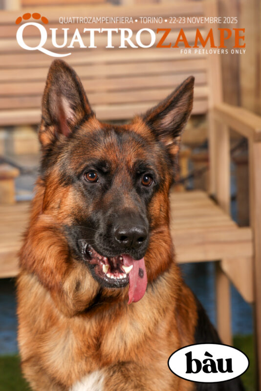 Concorso Fotografico - QuattroZampe in Fiera - Torino - Novembre 2025