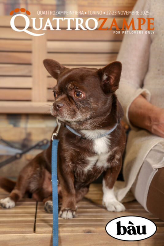 Concorso Fotografico - QuattroZampe in Fiera - Torino - Novembre 2025