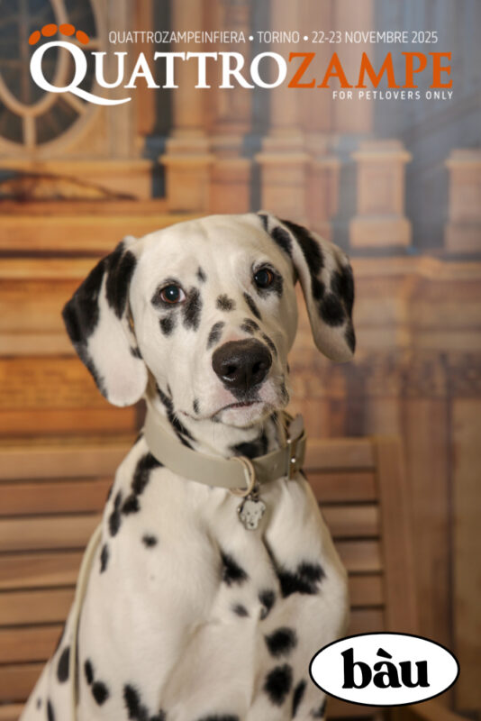 Concorso Fotografico - QuattroZampe in Fiera - Torino - Novembre 2025