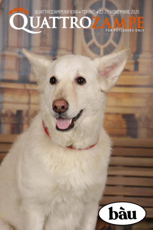 Concorso Fotografico - QuattroZampe in Fiera - Torino - Novembre 2025