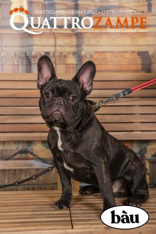 Concorso Fotografico - QuattroZampe in Fiera - Torino - Novembre 2025