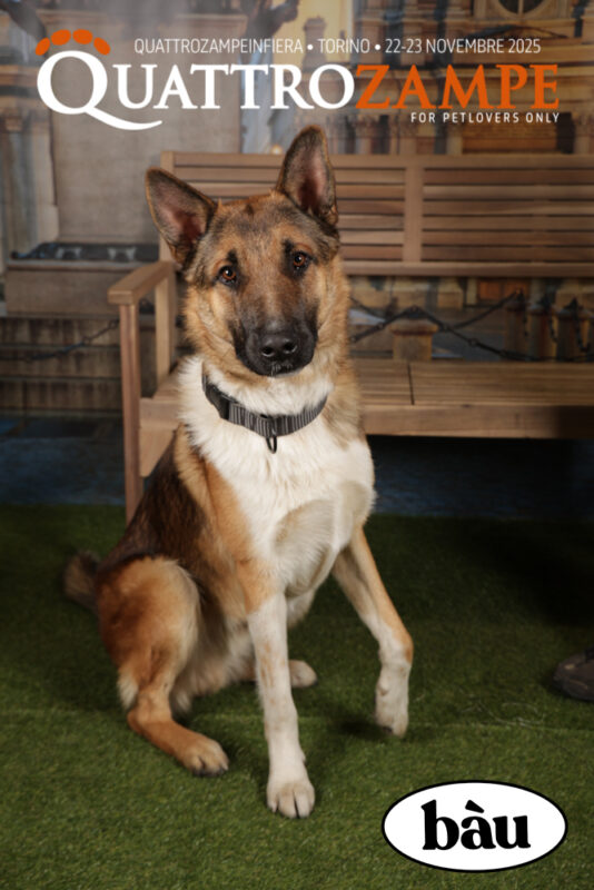 Concorso Fotografico - QuattroZampe in Fiera - Torino - Novembre 2025