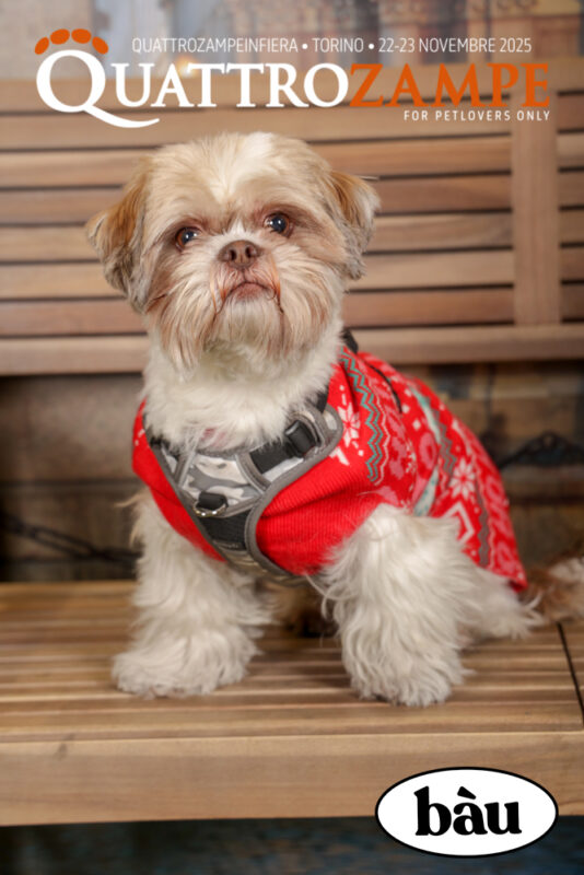 Concorso Fotografico - QuattroZampe in Fiera - Torino - Novembre 2025