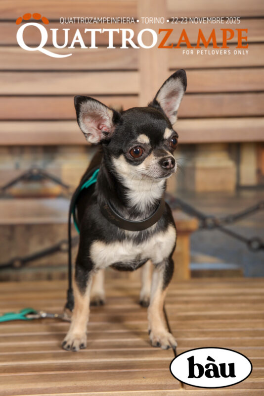Concorso Fotografico - QuattroZampe in Fiera - Torino - Novembre 2025