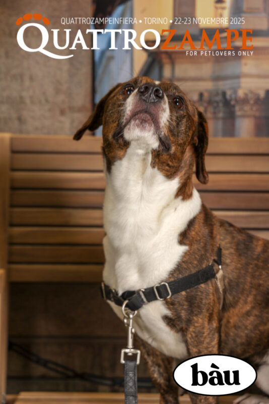 Concorso Fotografico - QuattroZampe in Fiera - Torino - Novembre 2025