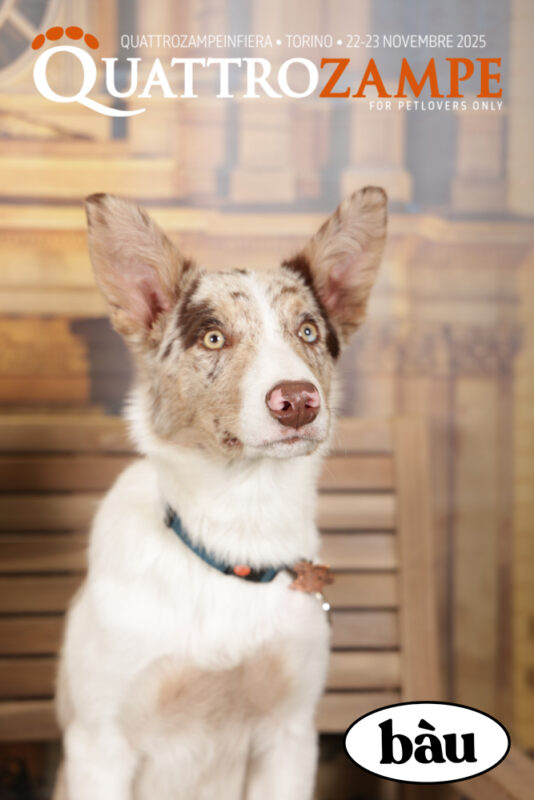 Concorso Fotografico - QuattroZampe in Fiera - Torino - Novembre 2025